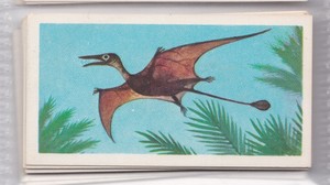 Prehistoric Animals 1972 - Brooke Bond Tea Card - 27 Rhamphorhynchus*