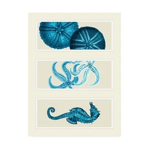, 14x19 Three Panel Print Sea Urchin Starfish and Seahorse in Blue by Fab Funky - Picture 1 of 3