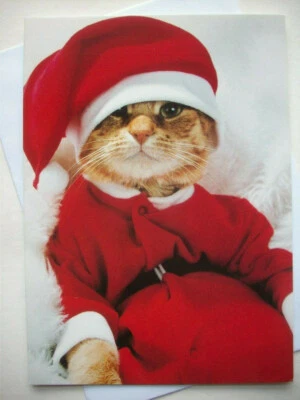 Gato en traje de Santa SIN USAR tarjeta de felicitación de Navidad *E2 Foto 1 de 3