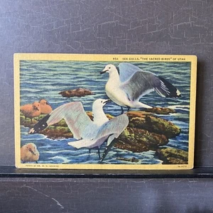 Sea Gulls "The Sacred Birds of Utah" Great Salt Lake Lore Vintage Linen Postcard - Picture 1 of 6