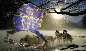 1985 Wes mc Itnyre Iditarod Pin Sponsor sled dog Ninilchik Alaska - Picture 1 of 4