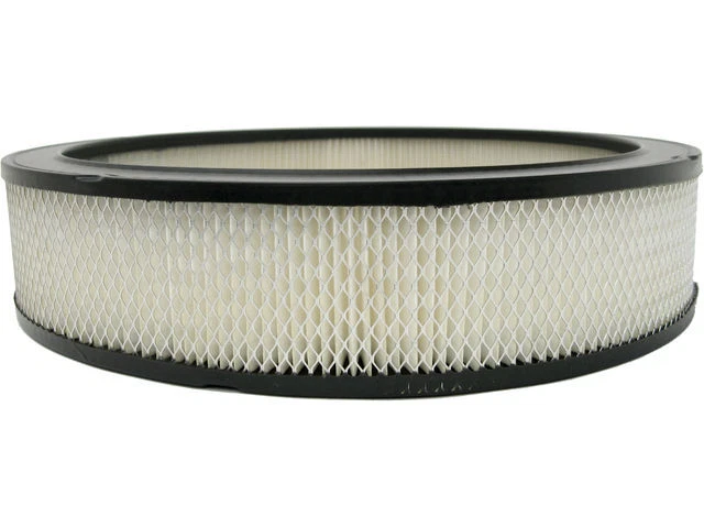 Filtro de aire AC Delco 56RW36T para Pontiac Bonneville 1967-1979 Foto 1 de 1