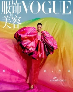Brand New Vogue CHINA December 2022 Liu Wen 刘雯 Cover Fashion Magazine - Picture 1 of 12