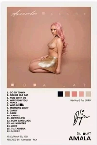 Doja Cat Amala Album Cover Canvas Poster Female Hip Hop Rap Gift Room Aesthetic - Picture 1 of 6