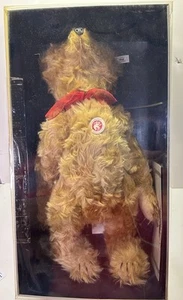 1991/92 Replica Steiff LE 20" Oldest Teddy Bear 35 PAB 1904 "Barle" Light Brown - Picture 1 of 13