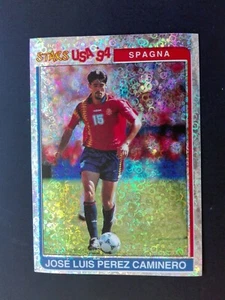 FIGURINA SUPERCALCIO PANINI 1994/95 USA 94 CAMINERO n. 206 NUOVA CON VELINA NEW - Imagen 1 de 2