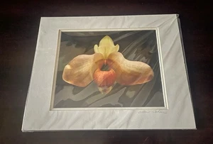 Signed And Sealed Allen Cohen Flower Photo With Frame 14” x 11” Collectible - Picture 1 of 8