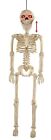 36" Crazy Bones Junior Animé Talking Squelette LU Accessoire Halloween Maison hantée