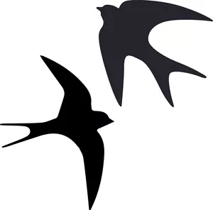 Window Wall Vehicle Display Swallow Bird Silhouette Decal Vinyl Sticker Craft - Picture 1 of 10