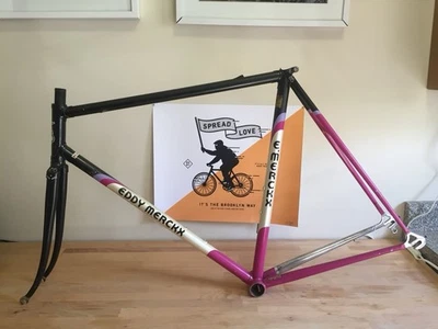 Eddy Merckx Corsa Дополнительная рама, 55 см, Team Telekom - Изображение 1 из 4