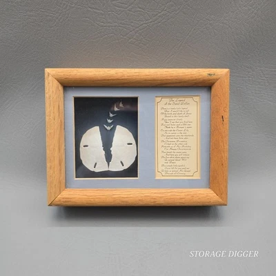 Caja de sombra dólar leyenda de arena vintage enmarcada decoración de pared palomas de la paz Foto 1 de 4