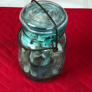 Tarro de bolas bicentenario conchas de mar estrella de mar ojo de tiburón marchita almeja caracola - Imagen 1 de 4