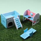Hedgehog Swing Hamsters House Rainbow Bridge Gerbil Pet Sport Exercise Toys Set