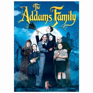 The Addams Family Movie DVD - Picture 1 of 3