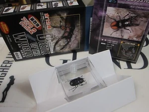 TAKARA - Beetle of the World 4 - Hexarthrius parryi female Mini Figure - L11 - Picture 1 of 11