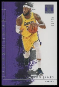 2019-20 Panini Impeccable #77 LeBron James Silver #/75 - Picture 1 of 2
