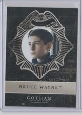 Gotham Season 2 Dark Knights Insert Trading Card #ND2 David Mazouz Bruce Wayne