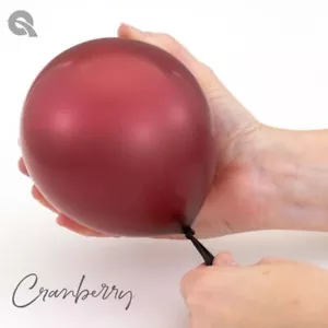 5" Solid Cranberry Latex Balloons - Qualatex Party Supplies - 100ct - Picture 1 of 1