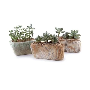 T4U 5.5 Inch Ceramic Succulent Pot Planter with Drainage Hole Set of 3, Stone... - Picture 1 of 7