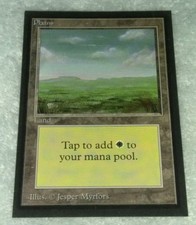PLAINS Beta Collector’s Edition Magic the Gathering MTG CE LP