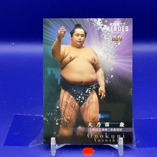 Ōnokuni Yasushi - BBM Sumo Wrestler Trading Card 2021 Japan TCG 02 #01