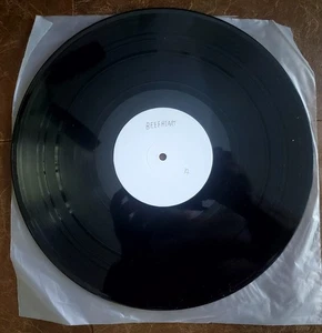 Captain Beefheart & Magic Band Translucent Fresnel Live12” US 2011 TEST PRESSING - Picture 1 of 1
