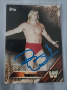 WWE WWF BARRY WINDHAM ANIMAL AUTÓGRAFO TARJETA FIRMADA AUTO HOF WCW - Imagen 1 de 1