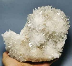 Natural Clear White Chrysanthemum Crystal Himalayan Quartz Cluster/Mineral - Picture 1 of 12