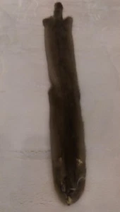 Pastel Mink Fur Skin - Male - Picture 1 of 4