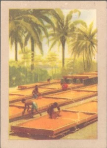 Jacques - Our Congo - 165 - Lukolela - Picture 1 of 1