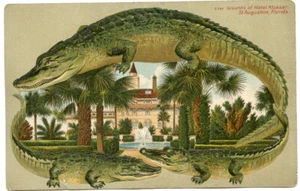 Alligator Border S 545 Florida St Augustine Hotel Alcazar Grounds - Bild 1 von 2