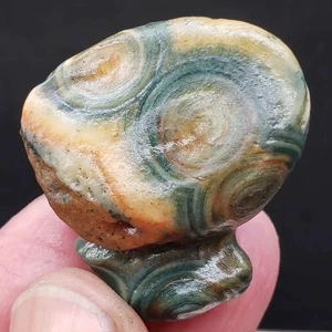 100% Natural Mongolia Gobi Eye Rough Agate Stone Collection Specimen - Imagen 1 de 4