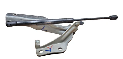 2009–2014 Nissan Maxima dianteiro esquerdo do capô do motorista dobradiça prata fabricante de equipamento original - Imagem 1 de 3