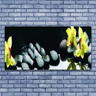 Acrylglasbilder Wandbilder Druck 140x70 Blumen Steine Pflanzen