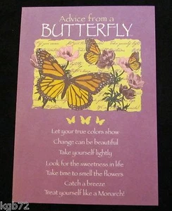 Leanin Tree Blank Greeting Card Advice From A Butterfly Multi Color R107 - Picture 1 of 2