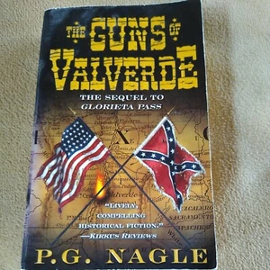 Bürgerkrieg im Fernen Westen Serie: Die Waffen von Valverde: Die Fortsetzung des Glorieta-Passes - Bild 1 von 8