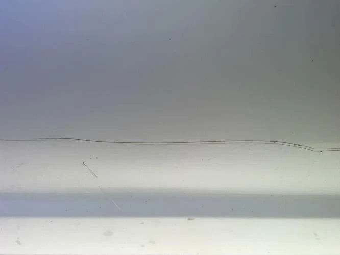 Porte laterale gauche FORD RANGER 2 4112506 - Photo 1/4