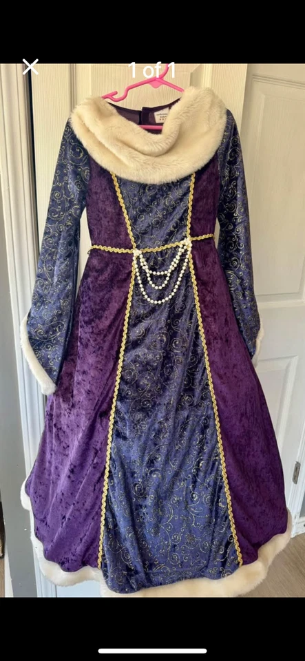 Elegant Renaissance Princess Dress Sz 4~Purple Gold Velvet Faux-fur Girls Gown - Image 1 of 1