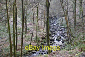Foto 6x4 Colden Clough en las profundidades del invierno Puente Hebden Comparar con c2008 - Imagen 1 de 1