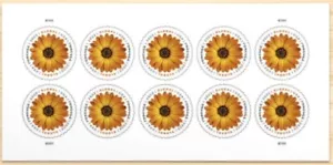 US Stamp Scott #5680 2022 Global Daisy Forever Stamps, 10 Panes of 10 (100pc) - Picture 1 of 2