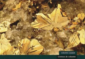 Postkarte Kubanit Kristalle Henderson Mine Chibougamau QC Rock Hound Geologie NEUWERTIG - Bild 1 von 1