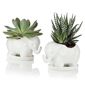 Set of 2 Ceramic Elephant Succulent Planter Pots with Saucers, Small Ceramic - Picture 1 of 6