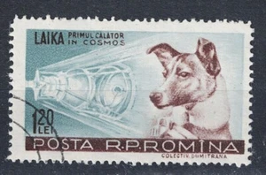 Rumänien Sowjet Laika der Hund im Weltraum Briefmarke 1969 B-1 - Bild 1 von 1