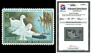Scott RW37 1970 $3.00 Duck Stamp Mint Graded XF-Sup 95 NH with PSE CERTIFICATE! - Picture 1 of 1