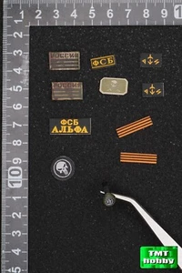1:6 Scale DAM 78100 Russian Spetsnaz FSB Sniper - Patches & Watch - Picture 1 of 2
