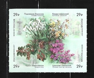 RUSIA. Año: 2017. Tema: FLORA. FLORES DE RUSIA. - Imagen 1 de 1