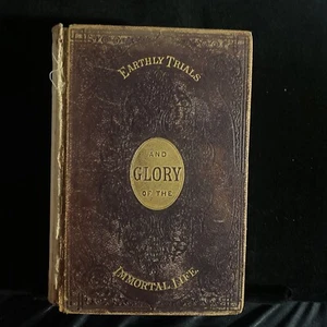 J E Stebbins / Earthly Trials and Glory of the Immortal Life1st 1878 - Picture 1 of 9