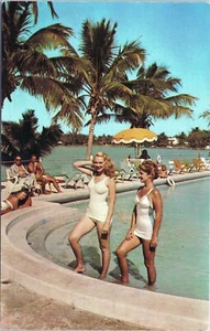 Glamour and Golden Sunshine Tropical Florida Postcard S-42728 Unposted - Picture 1 of 2