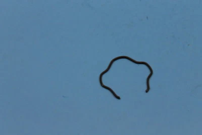 NOS YAMAHA MX80 LB80 LB50 OIL SEAL CLIP PART# 1T8-23156-00-00 - Image 1 of 4