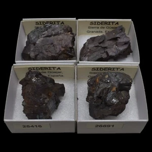 SIDERITA (Sierra de Güejar, Granada, España) "ver disponibles" / Siderite - Picture 1 of 7